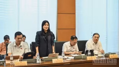 Đại biểu Quốc hội phát biểu ý kiến tại tổ. (Ảnh: DUY LINH)