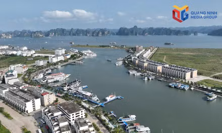 Kiến tạo các động lực mới cho tăng trưởng bền vững