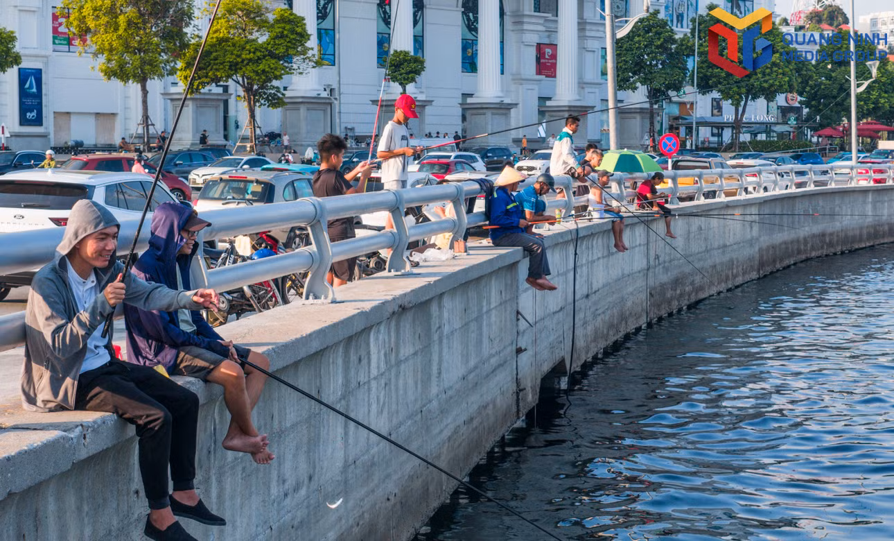 bqn_tr_dji-20260810170943-0041-d.jpg