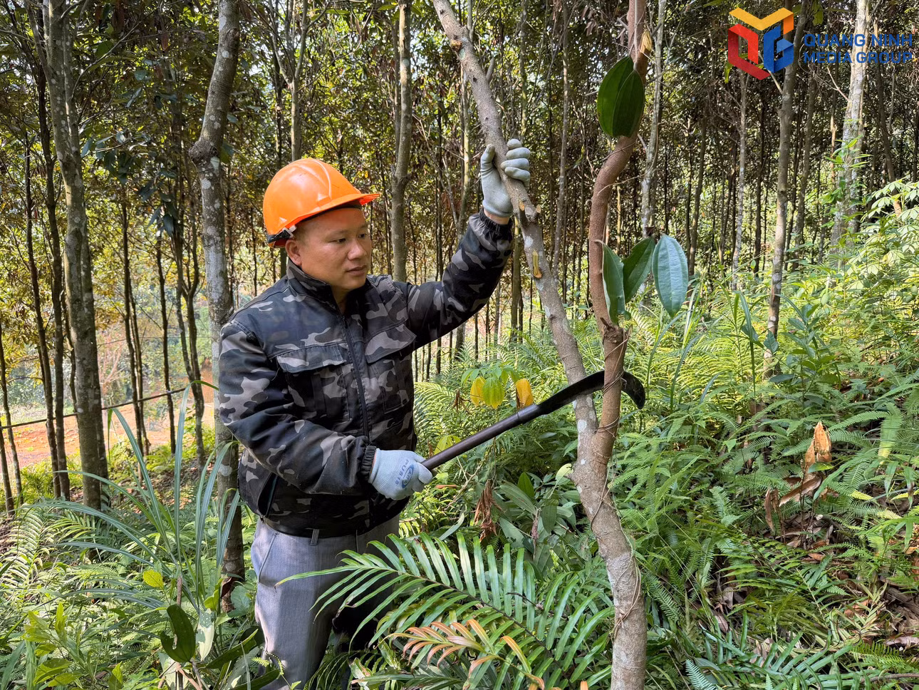 bqn_tr_phuong-ba-che.jpg
