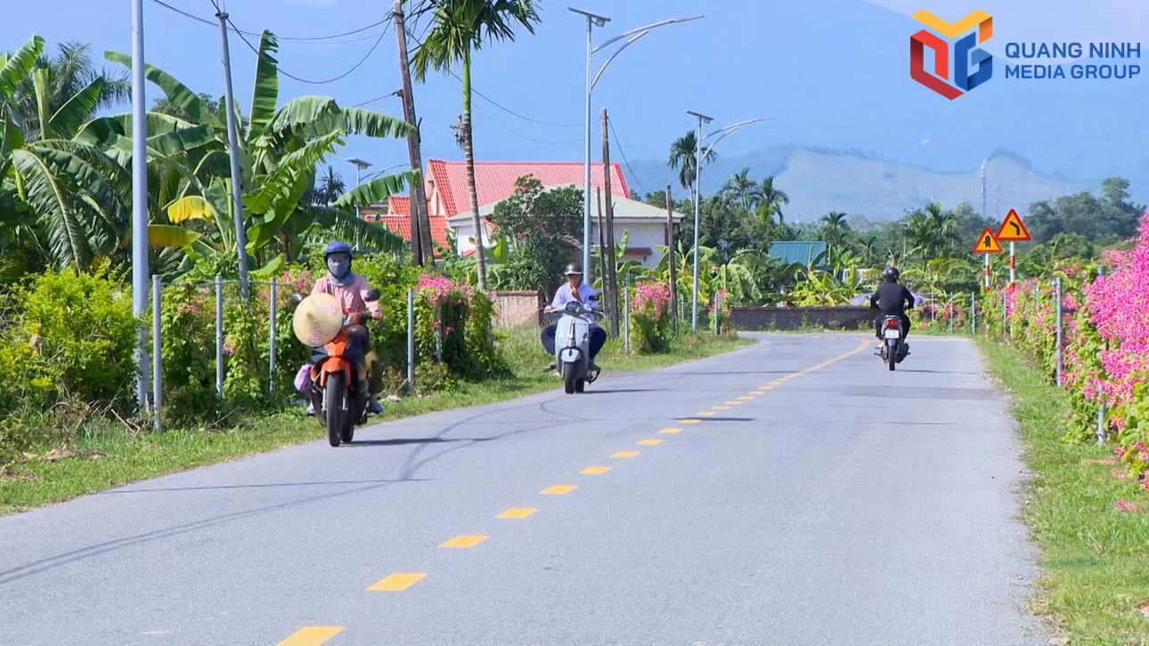 bqn_tr_tuyen-duondgf-tan-hop.jpg