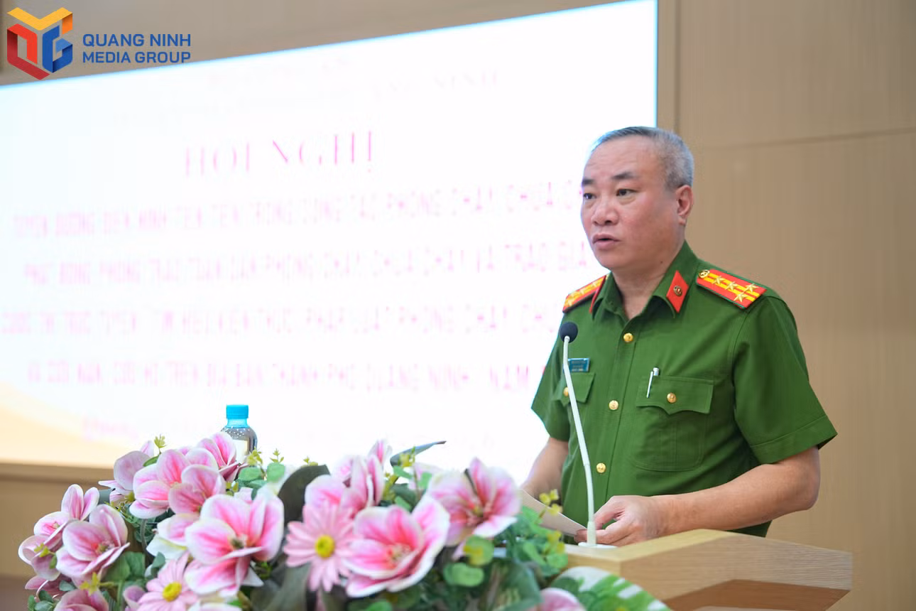 bqn_tl_dsc00092.jpg