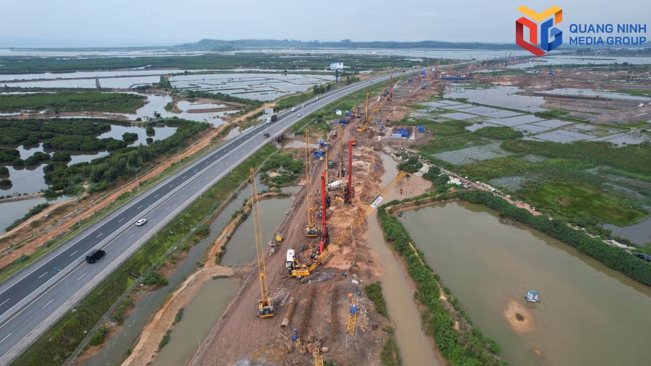 bqn_tr_dji-0020.jpg