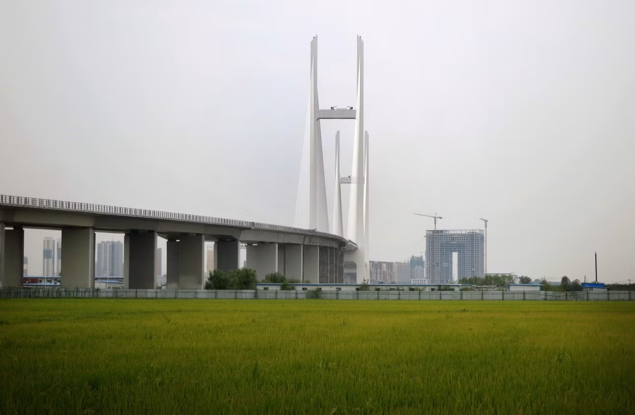 ap26287134295166.jpg