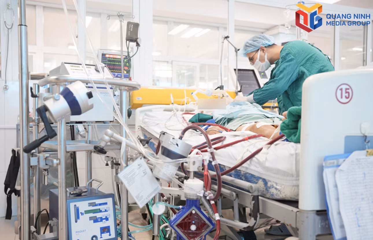 bqn_tr_ecmo-bai-chay.jpg