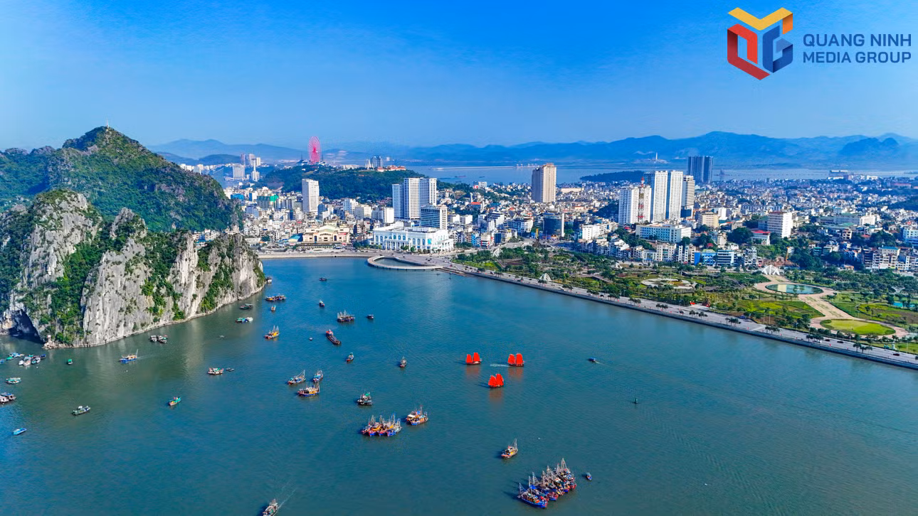 bqn_tr_canh-buom-do.jpg