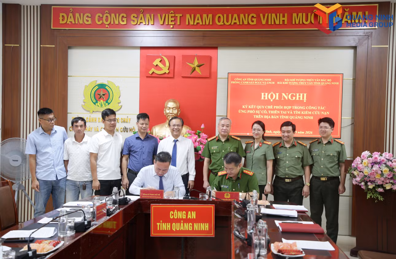 bqn_tr_3060.jpg