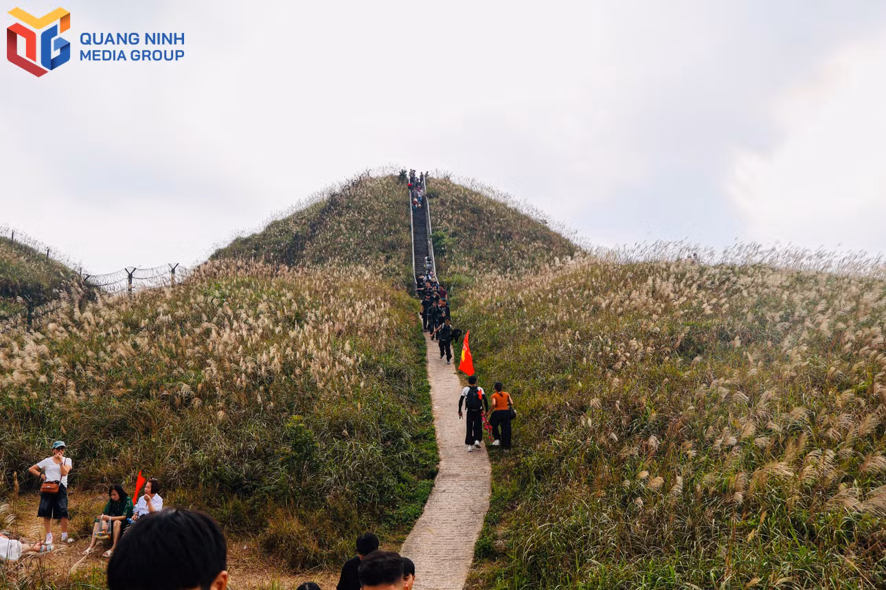 bqn_tl_6-tuyen-bac-thang-doc-dung-giua-doi-lau-thu-thach-suc-ben-cua-nguoi-trai-nghiem.jpg
