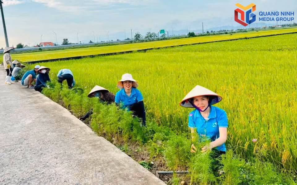 bqn_tr_phong-hai-1111.jpg