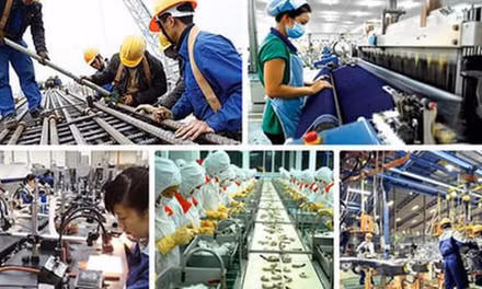 Triển khai thực hiện Kết luận số 62-KL/TW về nâng cao năng suất lao động quốc gia gắn với phát triển thị trường lao động