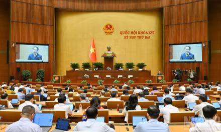 Sửa đổi Luật An toàn thực phẩm: Tăng hậu kiểm, siết trách nhiệm quản lý thực phẩm