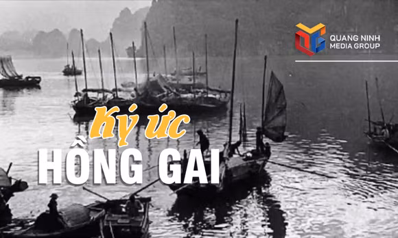 Ký ức Hồng Gai