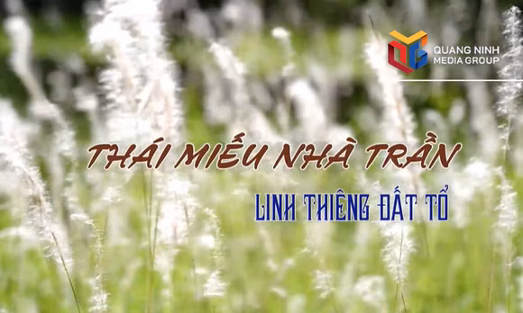 Thái Miếu nhà Trần - Linh thiêng Đất Tổ