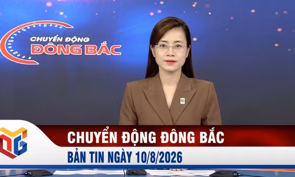 Chuyển động Đông Bắc ngày 10/8/2026
