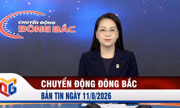 Chuyển động Đông Bắc ngày 11/8/2026