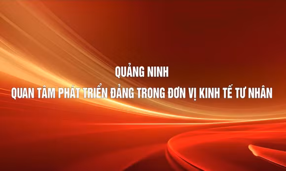Quảng Ninh quan tâm phát triển Đảng trong đơn vị kinh tế tư nhân