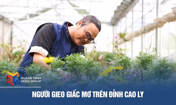 Người gieo giấc mơ trên đỉnh Cao Ly