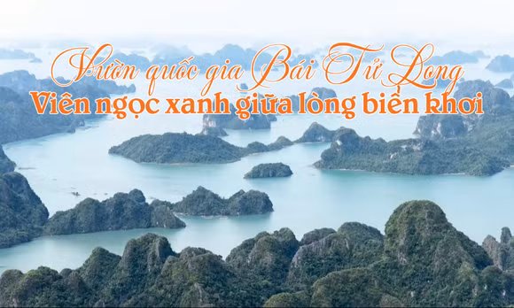 Vườn quốc gia Bái Tử Long: Viên ngọc xanh giữa lòng biển khơi