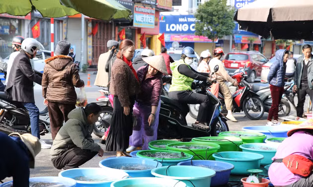 Thị trường hàng hóa sôi động trở lại 