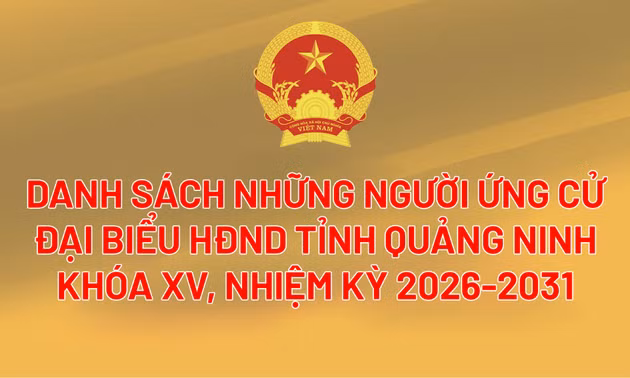 Danh sách những người ứng cử đại biểu HĐND tỉnh Quảng Ninh khóa XV, nhiệm kỳ 2026-2031