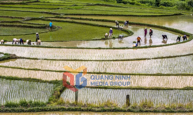 Nông thôn mới xã Ba Chẽ