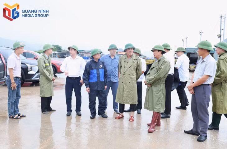 bqn_tl_bao-1.jpg