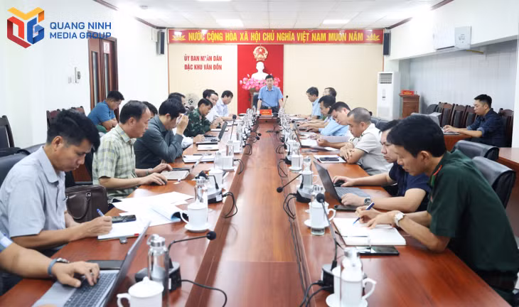 bqn_tl_hop-bao.jpg