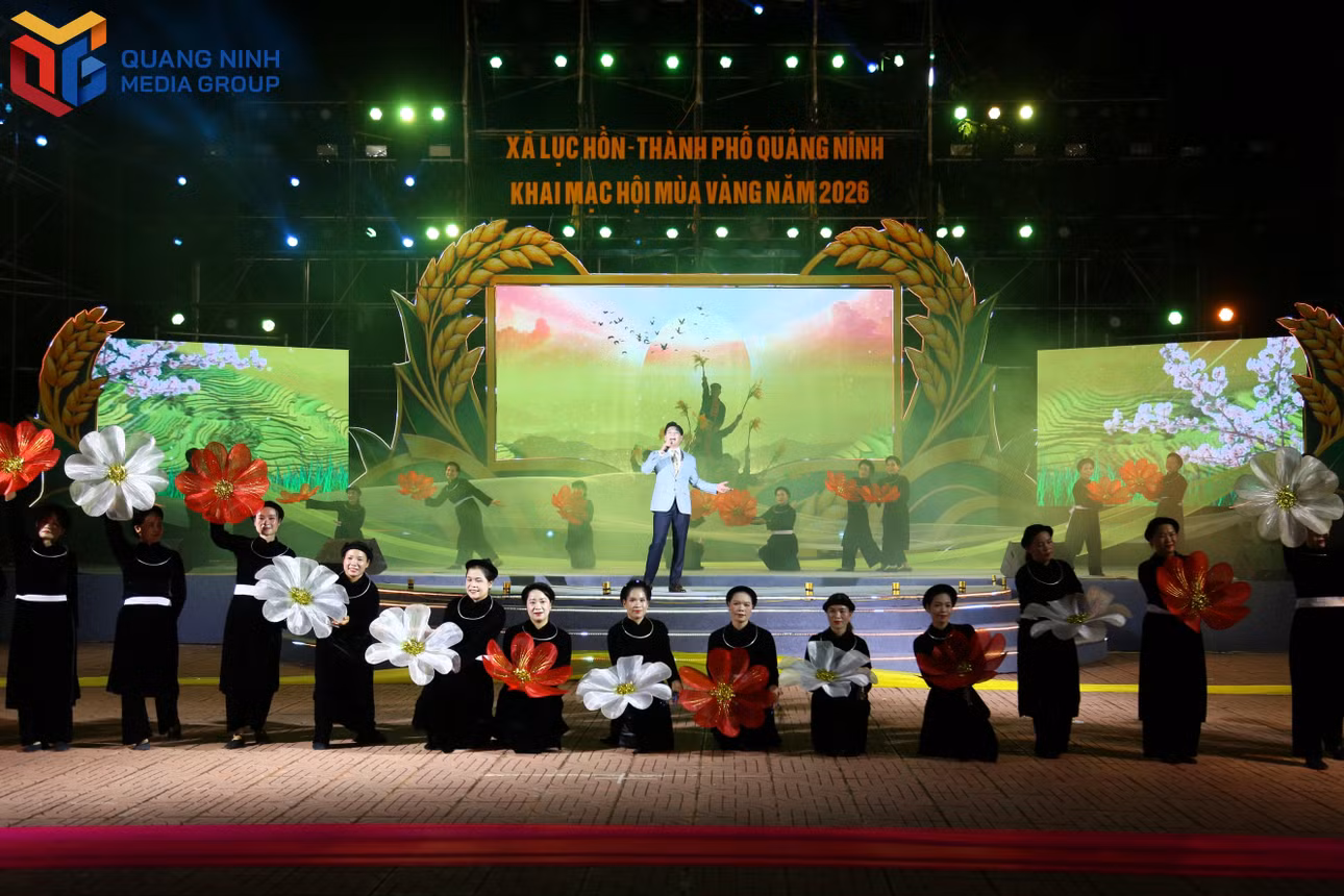 bqn_tl_img-7493.jpg