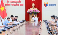 Tiếp tục cải thiện môi trường đầu tư, kinh doanh