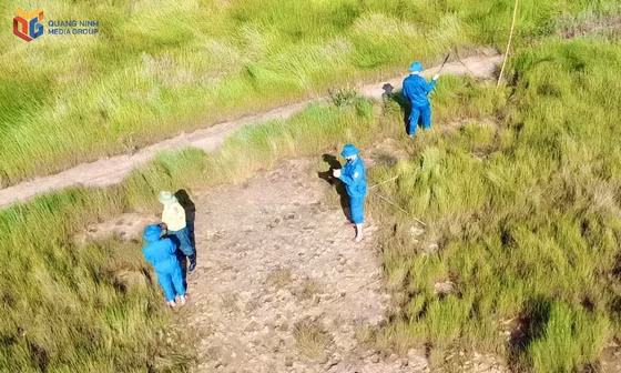 Phường Hà An: Ngăn chặn săn bắt chim hoang dã, chim di cư