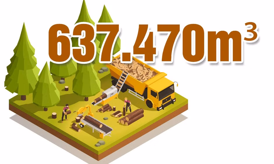 637.470 m³ - là sản lượng gỗ rừng trồng thành phố ước khai thác từ đầu năm đến nay