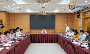 Nâng cao năng lực tham mưu, đảm bảo tiến độ các nhiệm vụ được giao