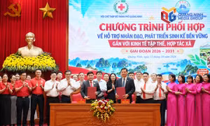 Phát huy vai trò kinh tế tập thể, hợp tác xã trong mô hình phát triển mới của thành phố 