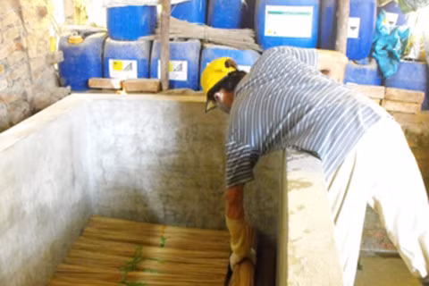 Kinh hoàng công nghệ tẩy trắng tăm xỉa răng ảnh 4
