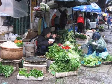 Rau “bốc hỏa” giữa giá lạnh ảnh 1