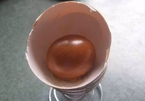 Trứng bên trong trứng ảnh 2