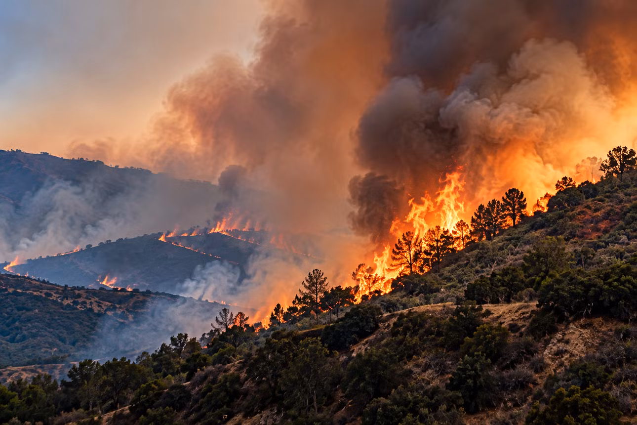 wildfire-sweeping-smoky-mountain-hills-1.png