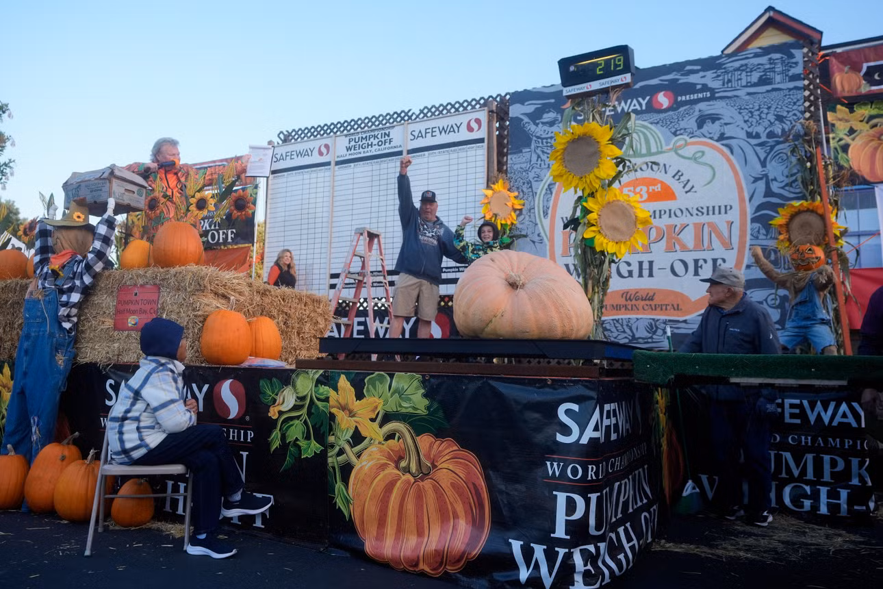 giant-pumpkin-contest.jpg