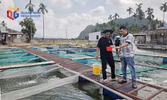 Tháo điểm nghẽn về giống thuỷ sản