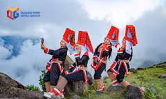 Thu vàng trên đỉnh Cao Ly