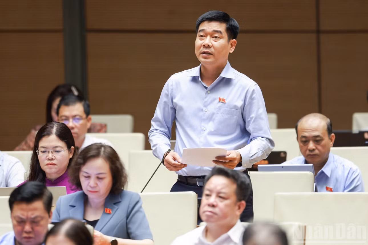Đại biểu Lê Thanh Hoàn (Đoàn Thanh Hóa).