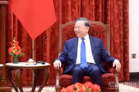 Tổng Bí thư, Chủ tịch nước Tô Lâm phát biểu tại cuộc tiếp. (Ảnh: ĐĂNG KHOA)