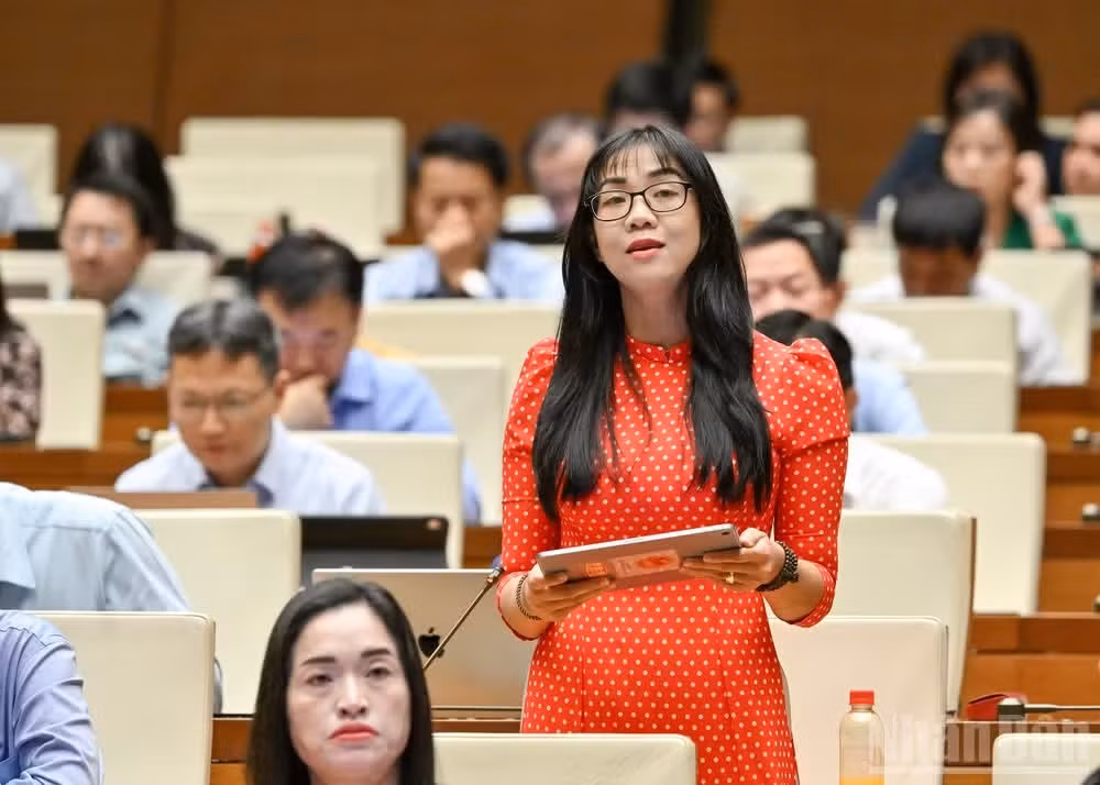 Đại biểu Trịnh Thị Tú Anh (Đoàn Lâm Đồng).