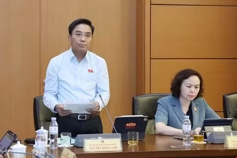 Phó Chủ tịch Quốc hội Nguyễn Doãn Anh phát biểu ý kiến tại Tổ 13.