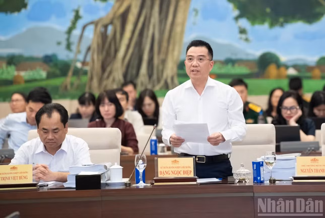 Thứ trưởng Nông nghiệp và Môi trường Đặng Ngọc Điệp trình bày báo cáo tóm tắt dự án Luật Đất đai (sửa đổi). (Ảnh: DUY LINH)