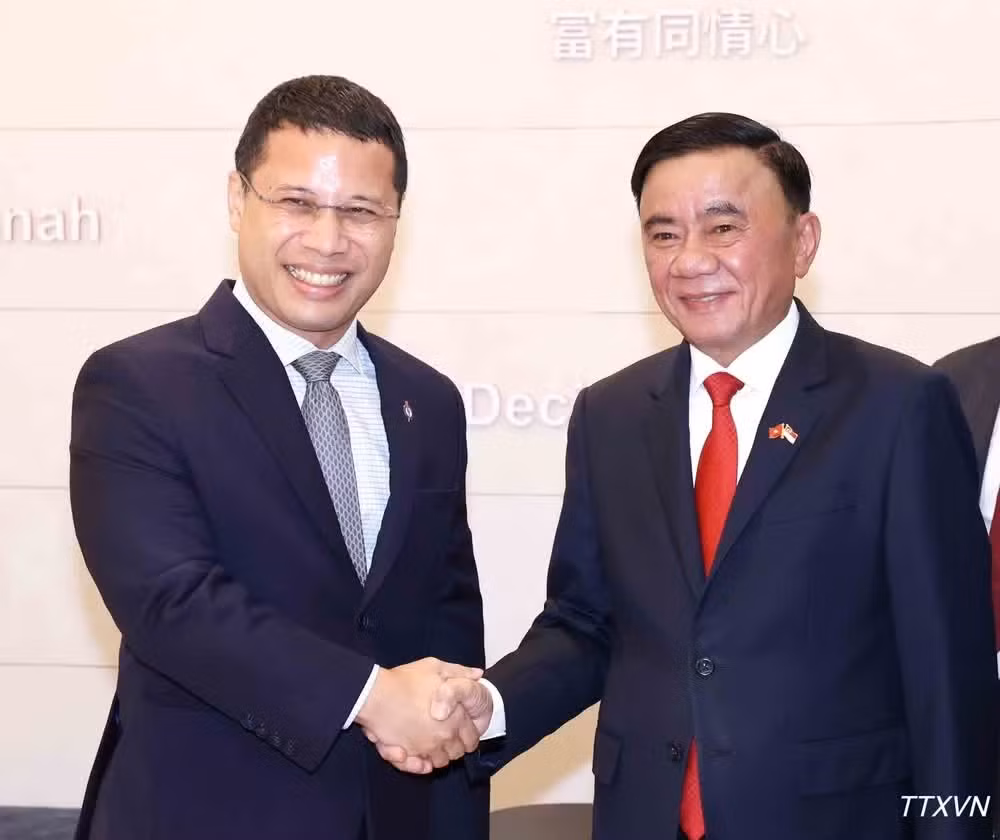 Thường trực Ban Bí thư Trần Cẩm Tú hội kiến Chủ tịch Đảng Hành động Nhân dân Singapore, Bộ trưởng Giáo dục Singapore Desmond Lee. (Ảnh: TTXVN)