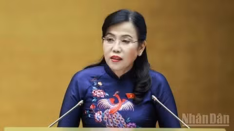Chủ nhiệm Ủy ban Khoa học, Công nghệ và Môi trường của Quốc hội Nguyễn Thanh Hải trình bày báo cáo thẩm tra. (Ảnh: DUY LINH)