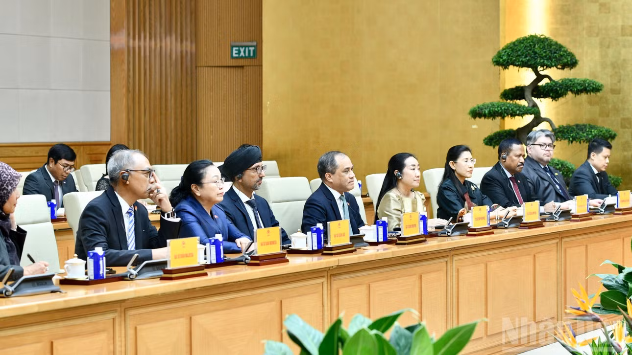 Đại sứ, Đại biện các nước ASEAN tham dự buổi tiếp. (Ảnh: THANH GIANG)