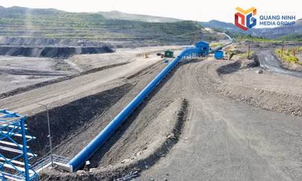 Phát triển kinh tế gắn với bảo vệ môi trường