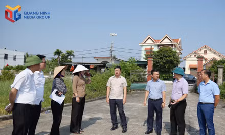  Phường Hà An: Quan lý, khai thác hiệu quả tài sản công sau sắp xếp